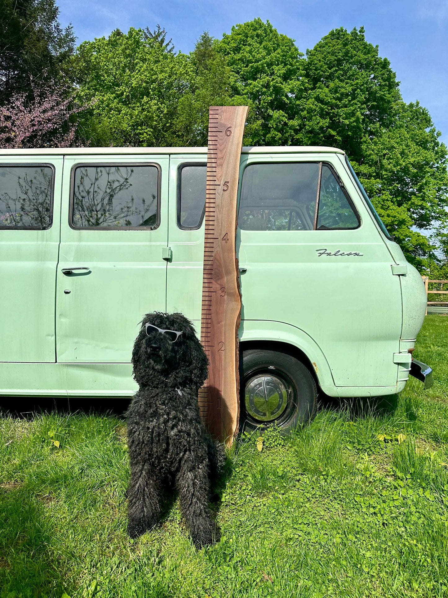 Wooden Growth Boards - Hopes Woodshop