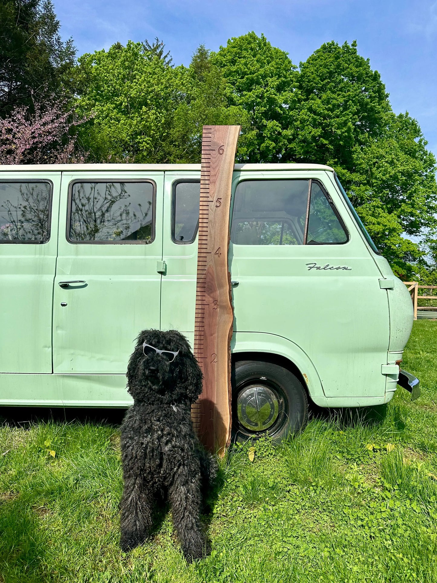 Wooden Growth Boards - Hopes Woodshop